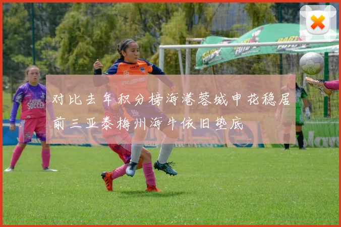 对比去年积分榜海港蓉城申花稳居前三亚泰梅州海牛依旧垫底